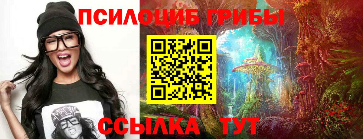 Псилоцибиновые грибы мицелий Коряжма