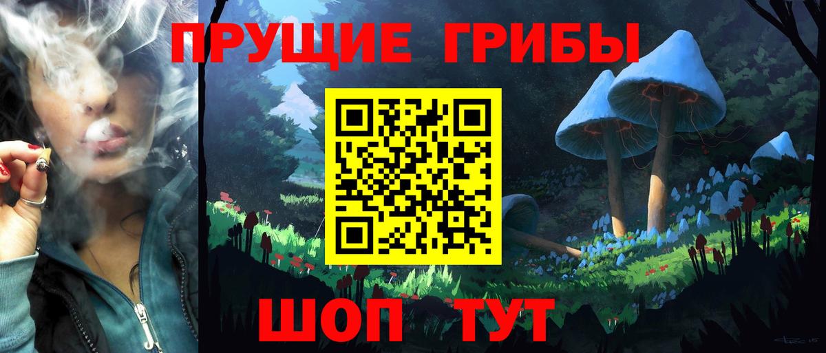 Галлюциногенные грибы мицелий  Галлюциногенные грибы ЛСД  Коряжма  магазин  наркотиков  Вход с VPN 
